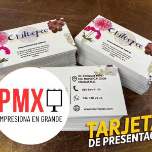 Tarjetas Presentacion Mexicali Impresion PMX